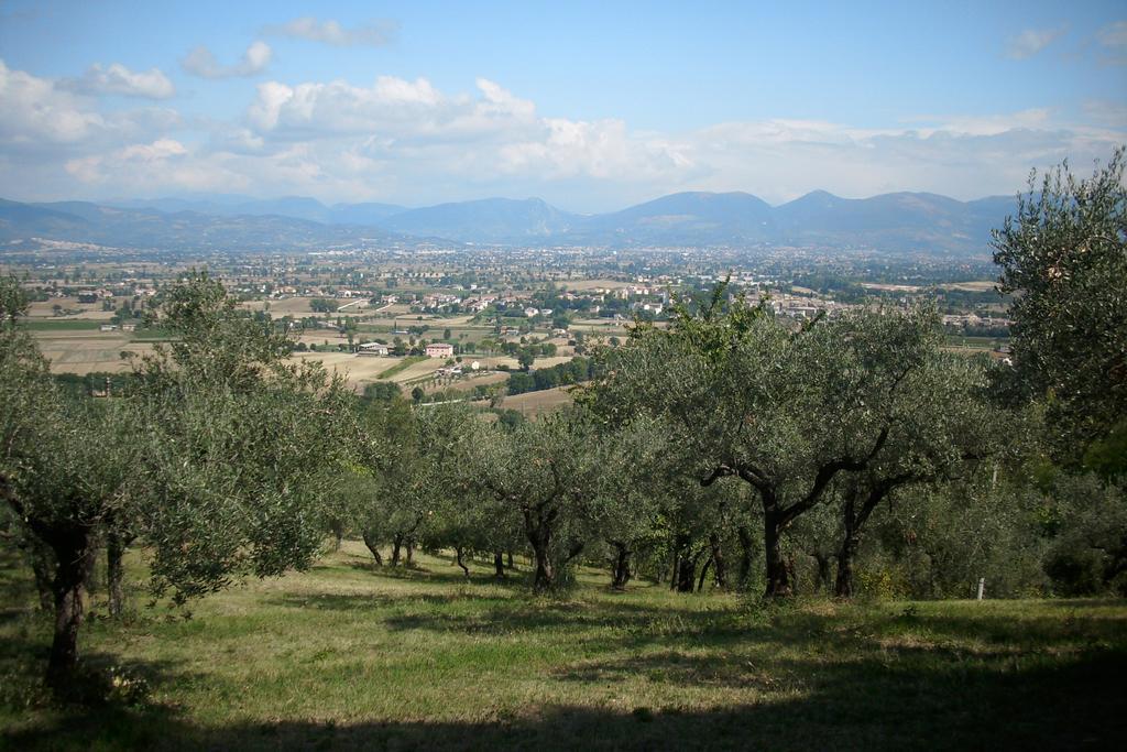 B&B Il Grotto Bevagna Luaran gambar