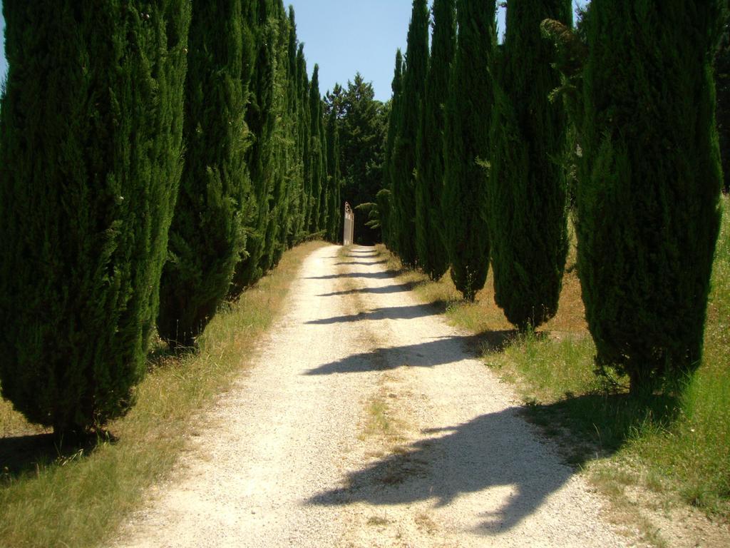 B&B Il Grotto Bevagna Luaran gambar