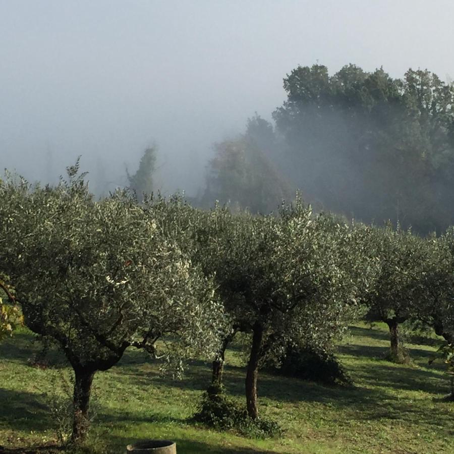 B&B Il Grotto Bevagna Luaran gambar