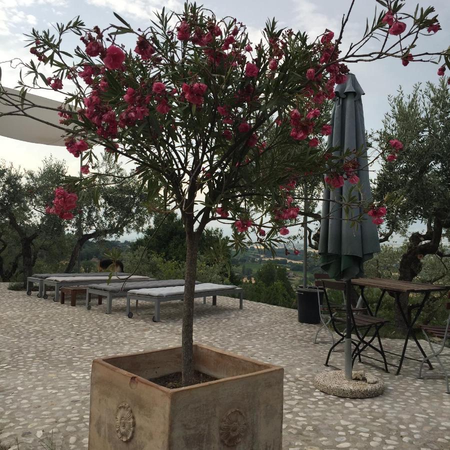 B&B Il Grotto Bevagna Luaran gambar